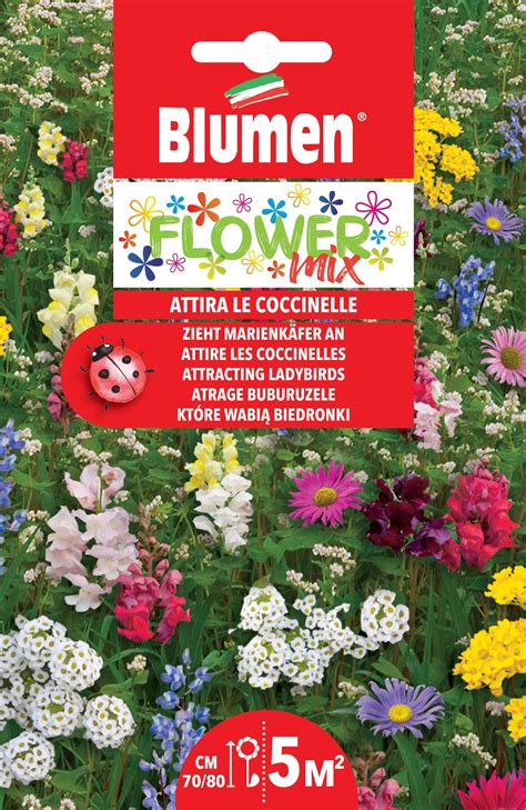Semi mix di fiori che attirano le coccinelle | OBI
