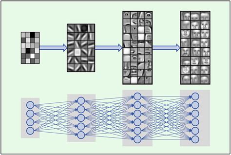 Hierarchical Composition Of Complex Features Dnns Build A Feature From