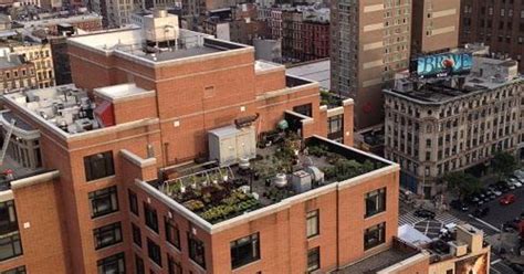 Rooftop Gardens | Hometalk