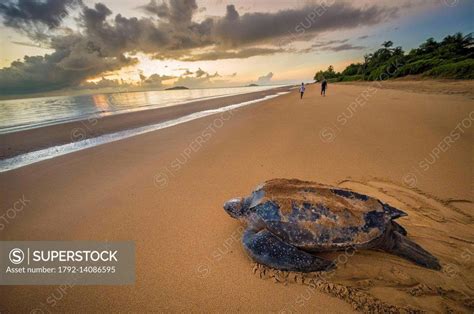 France Guiana Cayenne Rémire Montjoly beach return to the Atlantic