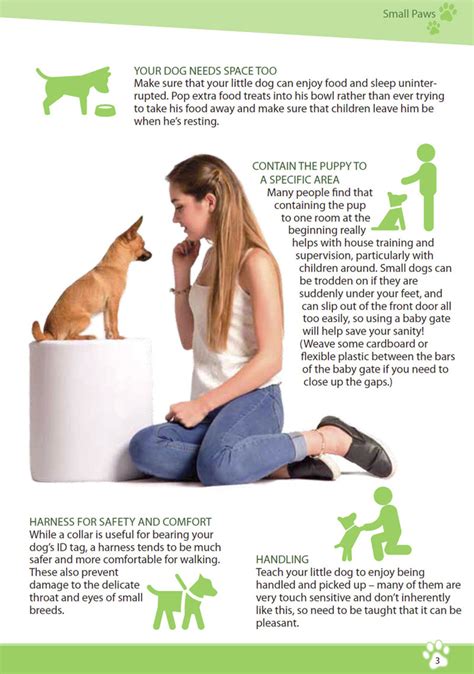 Ebook: Small Paws - Essential Behavior and Training Tips for Young ...