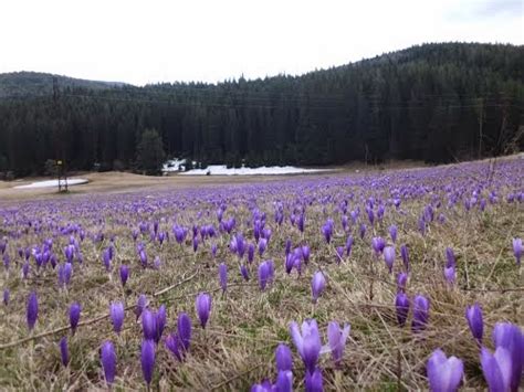 Юндола - съкровище, скрито между Рила и Родопи | Блогът на туристически ...