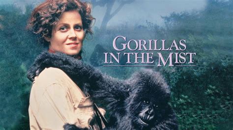 Gorillas in the Mist - Movie - Where To Watch