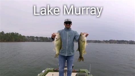 Catching Monster Bass On Lake Murray Youtube