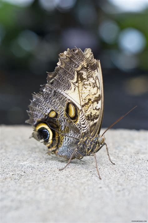 Seattle's Pacific Science Center with CityPASS - Foodgressing