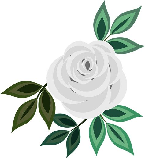 White Rose Transparent Clip Art Image | Gallery Yopriceville - Clip Art ...