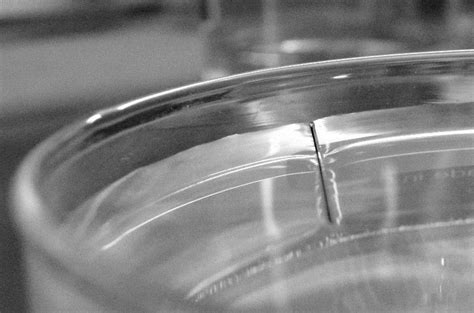 Manifestation Of Surface Tension Steel Needle Floating On A Water