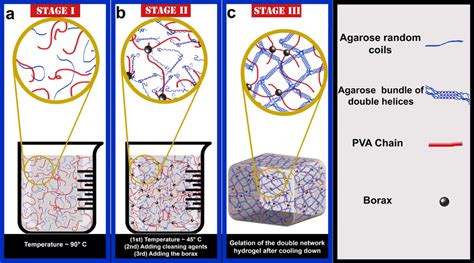 Schematic Illustration Of Preparation And Gelation Processes Of