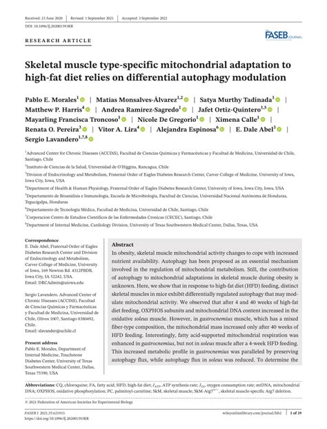 Pdf Skeletal Muscle Type Specific Mitochondrial Adaptation To High