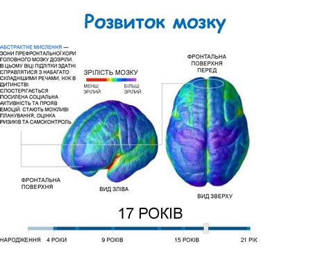 Потенціал людського мозку | Збруч
