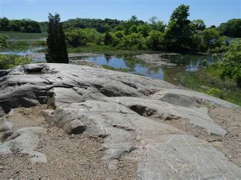 Forest River - Marblehead Conservancy Inc.