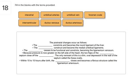 SOLVED The Postnatal Changes Occur As Follows The Ductus Venosus