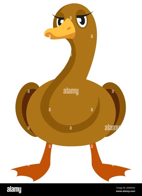 Duck front view. Farm animal in cartoon style Stock Vector Image & Art ...