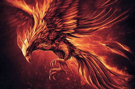 Fire Eagle Cool Eagle Hd Wallpaper Pxfuel