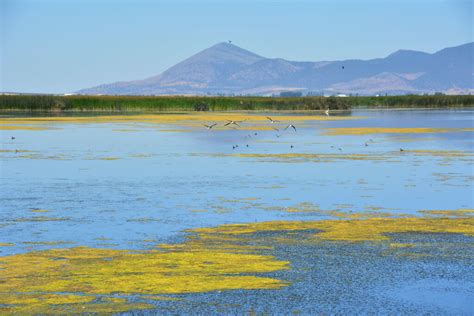 Tule Lake National Wildlife Refuge