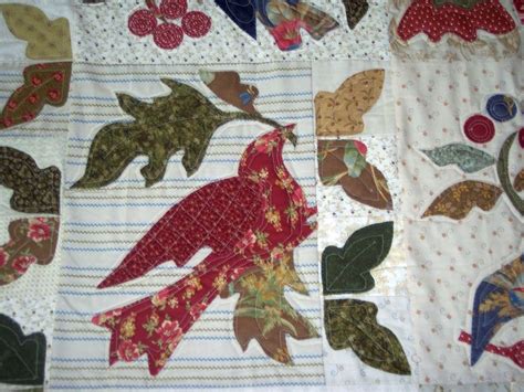 "In the Meadow" bird appliqué quilt - Quiltingboard Forums
