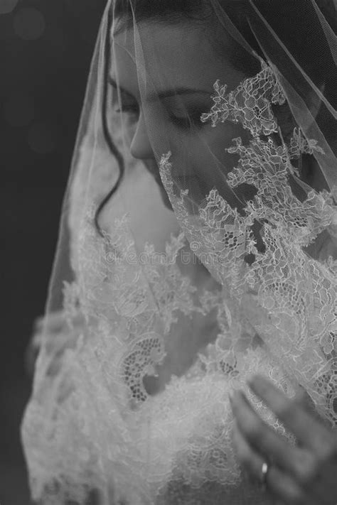 Beautiful Bride Portrait With Veil Over Face Stock Image Image Of