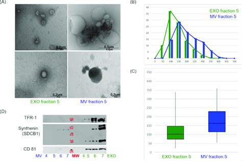 Exosome Quality Control Biochemical Characterization Of Evs Isolated