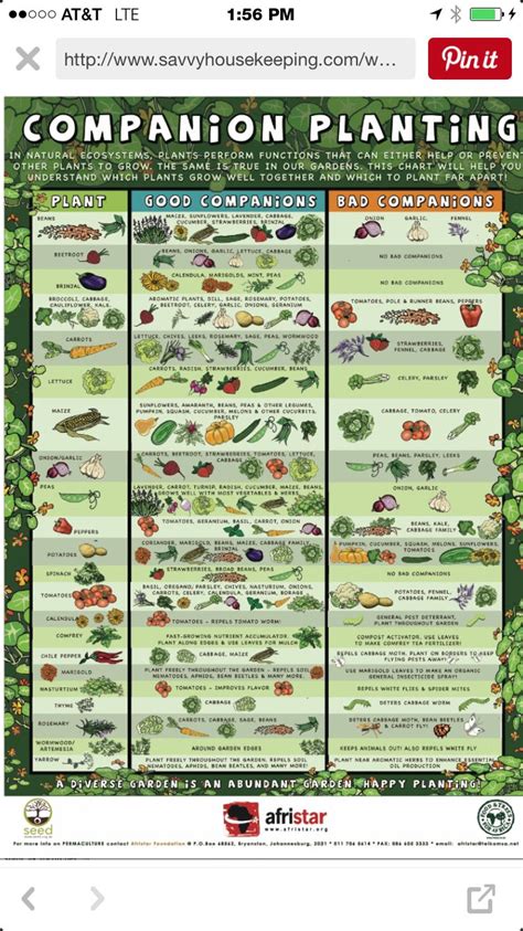 Printable Companion Planting Chart