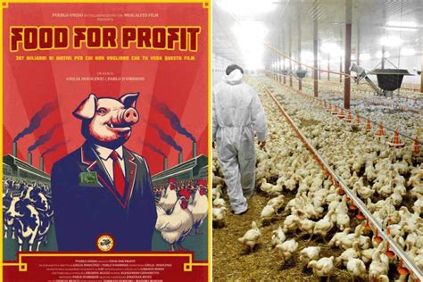 Enorme Successo Per Food For Profit Il Documentario Sugli