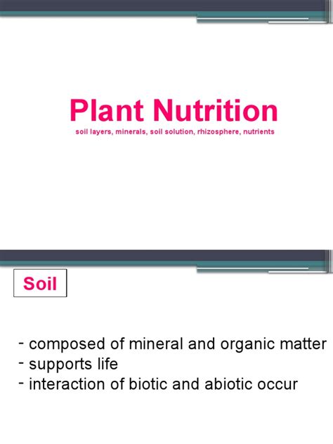 Plant Nutrition | PDF