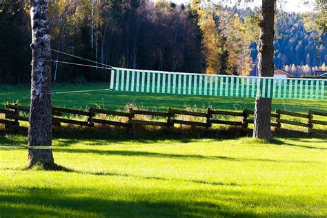 Net Volleyball Grass Free Photo On Pixabay Pixabay