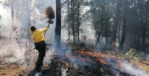 Son 4 Los Incendios Activos En Morelos Noticias Diario De Morelos