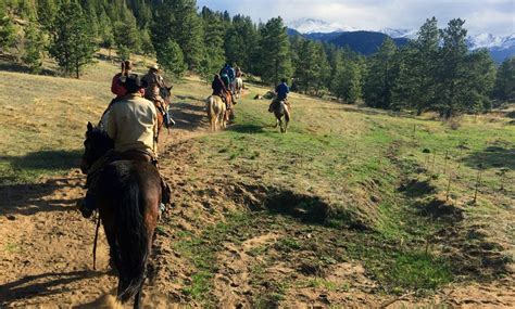 One Or Two Hour Trail Ride Sombrero Stables Groupon