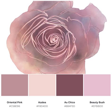 Blush Pink Color Palette