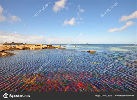 Shallow Crystal Clear Water Lilia Bay Vierge Lighthouse Sunny Day Stock