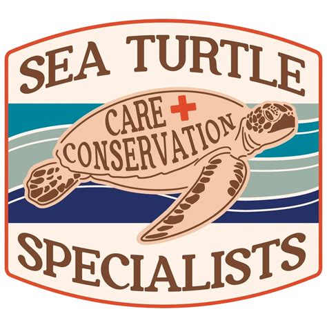 Sea Turtle Conservation Specialists - Protecting Our Marine Friends