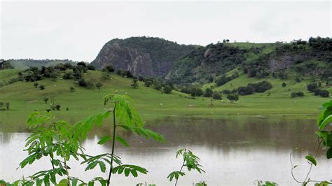 Paisagens E Natureza Da Zona Da Mata E Agreste Alagoano Retratadas Por