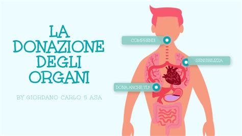 La Donazione Degli Organi