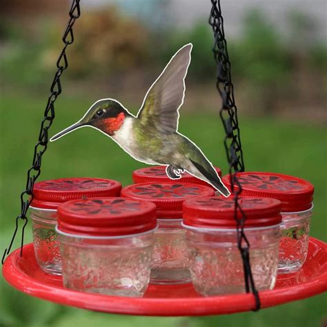 Diy Hummingbird Feeder With Mason Jars Empress Of Dirt