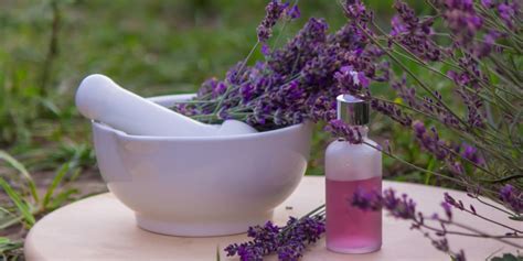 Lavender Oil Benefits For Hair: What Sholuld Know