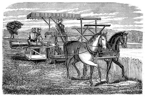 Delaware Colony Economy