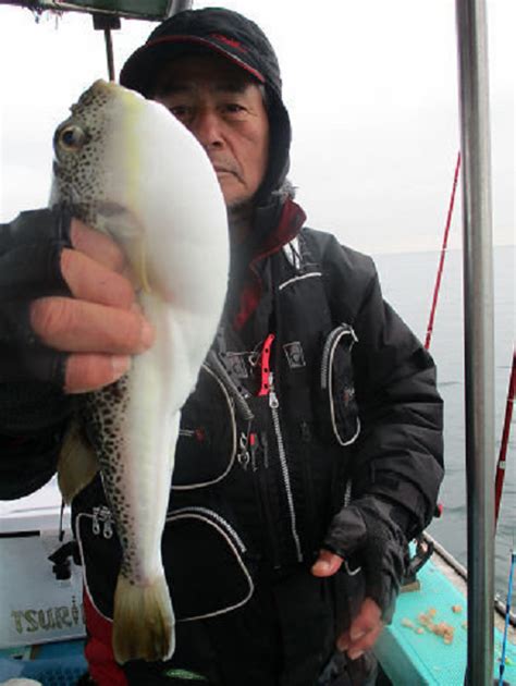 【釣果速報】最大40cmのショウサイフグ上がる！兵庫県釣り船 名田屋であなたも型狙いの釣行に出かけよう！ 2023年1月25日