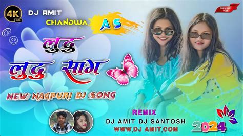 Ludu Budu Sag 🌿 New Nagpuri Dj Song 2024🔹 Newnagpurisong 🌿 Nagpuri Dj