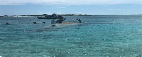 Norman S Cay Fun Snorkel Spot Luxury Yacht Charters