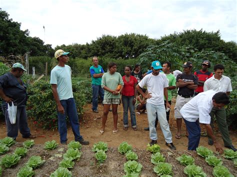 Excursão Técnica incentiva agricultores familiares para Sistema