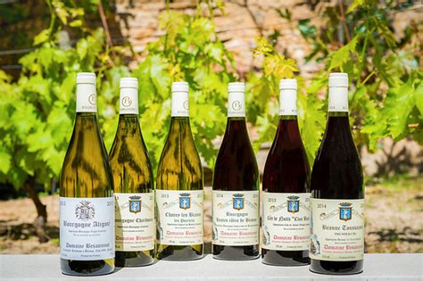 Domaine Besancenot Avis Tarifs 2025