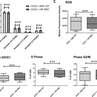 Viability Proliferation And ROS Expression In CD34 Cells After