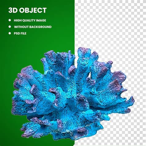 Premium Psd D Coral Reef Invertebrate Marine Biology