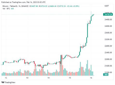 Kurs bitcoina przebił 24 000 USD Wiadomości CrypS