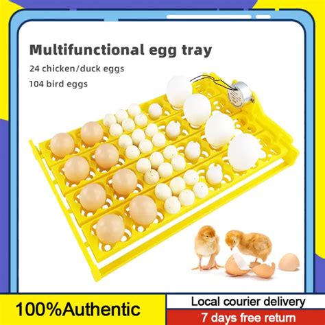 220V Automatic Egg Incubator 24 Eggs Turner Tray With Auto Turn Motor