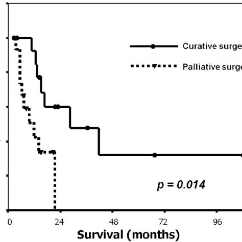 Types Of Surgery Performed For Locally Recurrent Rectal Cancer