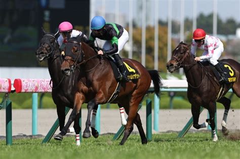 【新谷の土曜競馬コラム・紫苑s】 日刊ゲンダイ競馬