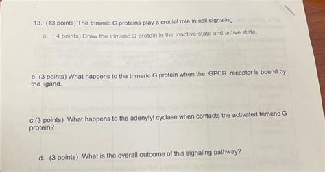 Solved 13. ( 13 points) The trimeric \\( G \\) proteins play | Chegg.com