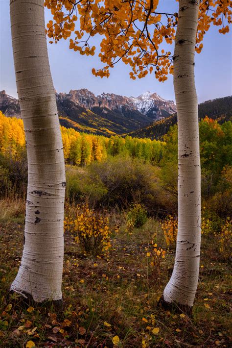 Uncompahgre National Forest | Lars Leber Photography