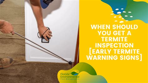 Termite Inspection In West Palm Beach Early Warning Signs Of Termites